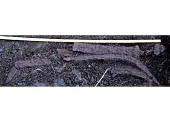 early-viking-age-grave-2