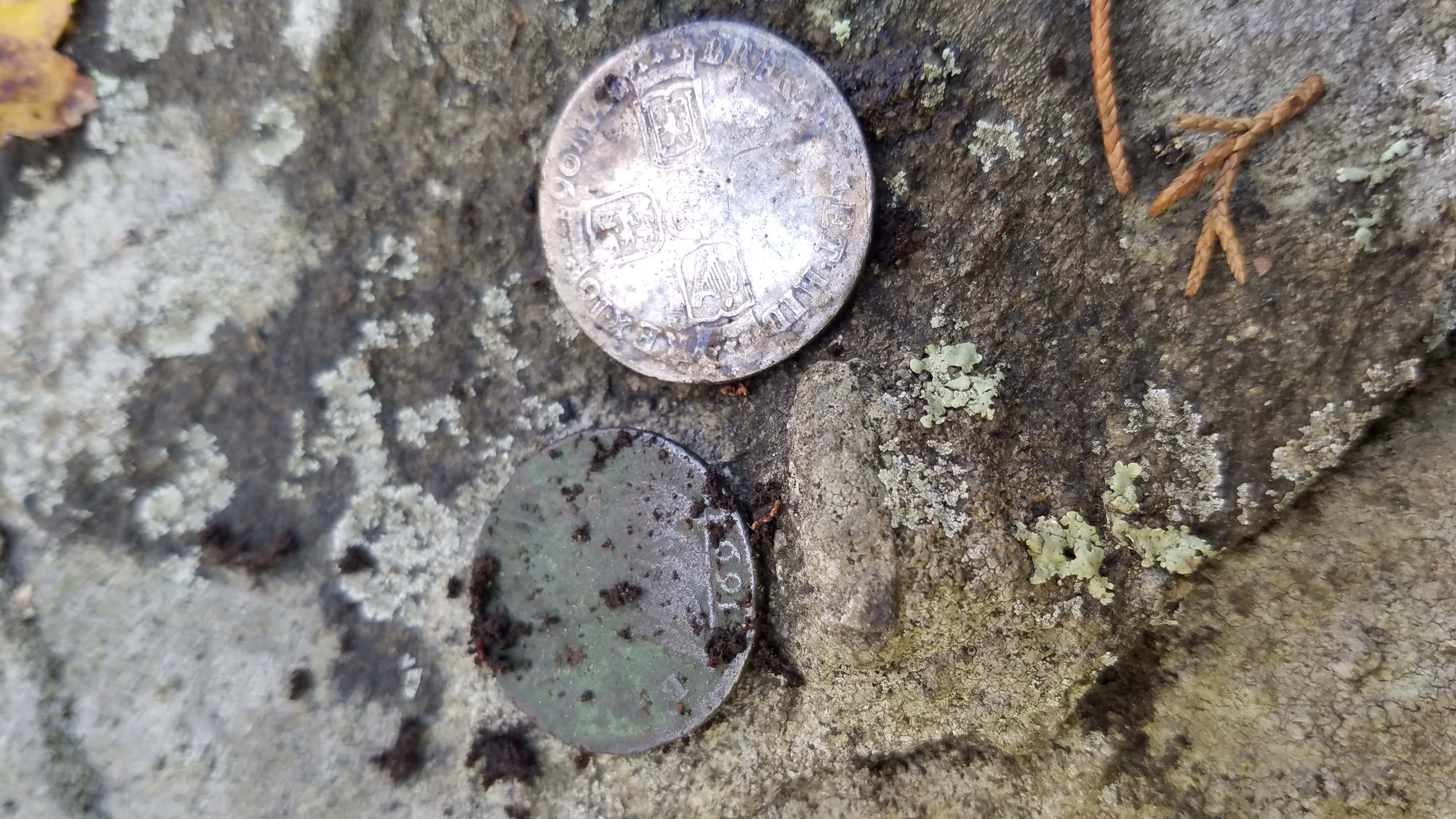 Farthing and Shilling on Lichen Rock Background