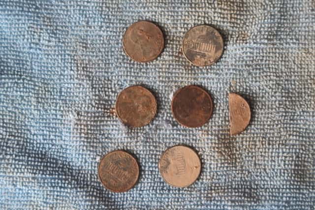 Pennies Arranged on Blue Cloth with Half Penny on Right Side