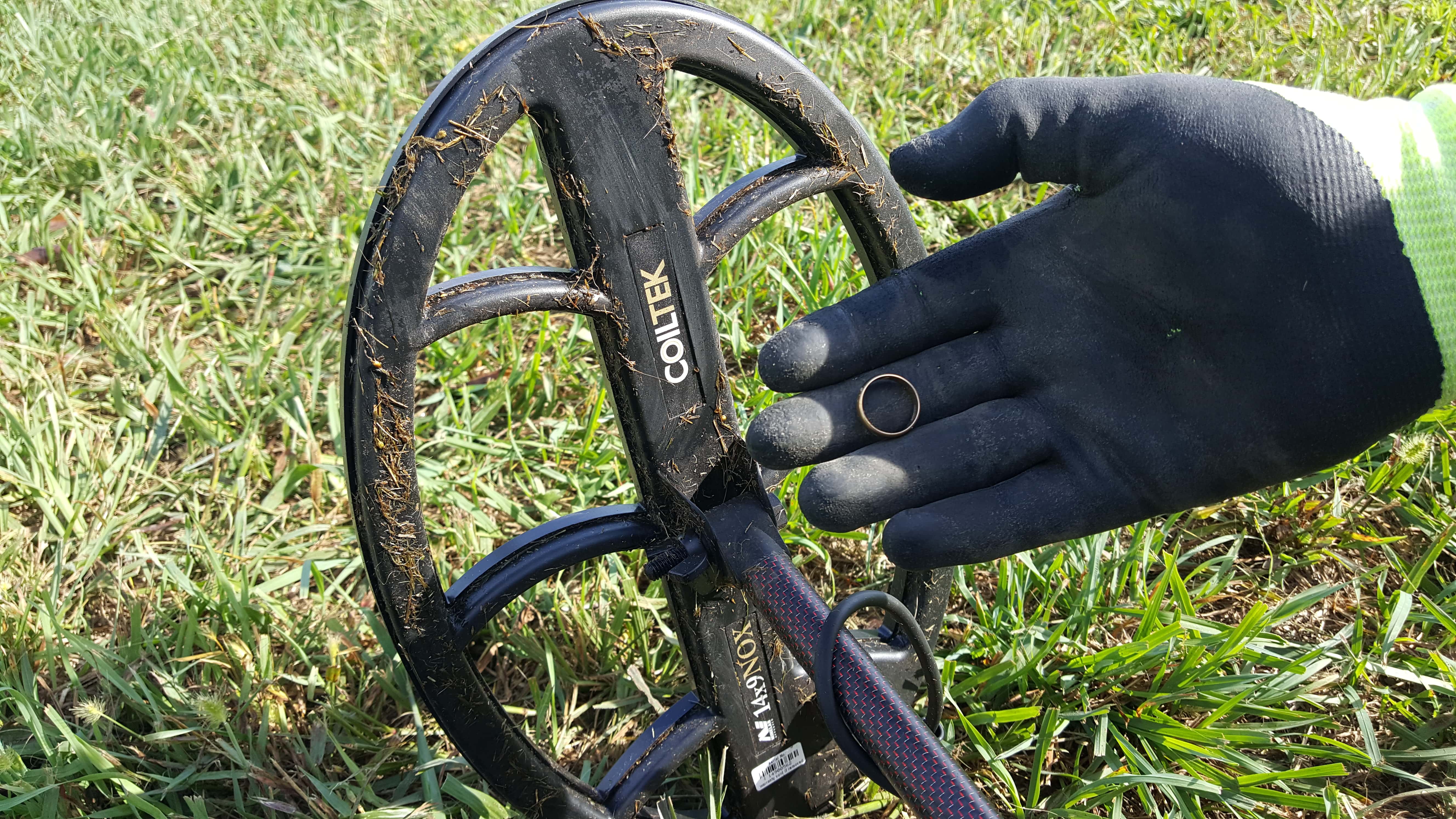 Gold Ring in Gloved Hand with Coiltek 14 x 9 Search Coil in the Background with Grassy Lawn and Grass on Coil
