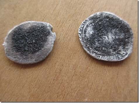 Two Other Possible Spanish Two Reale Coins Recovered on Treasure Coast on Wooden Surface