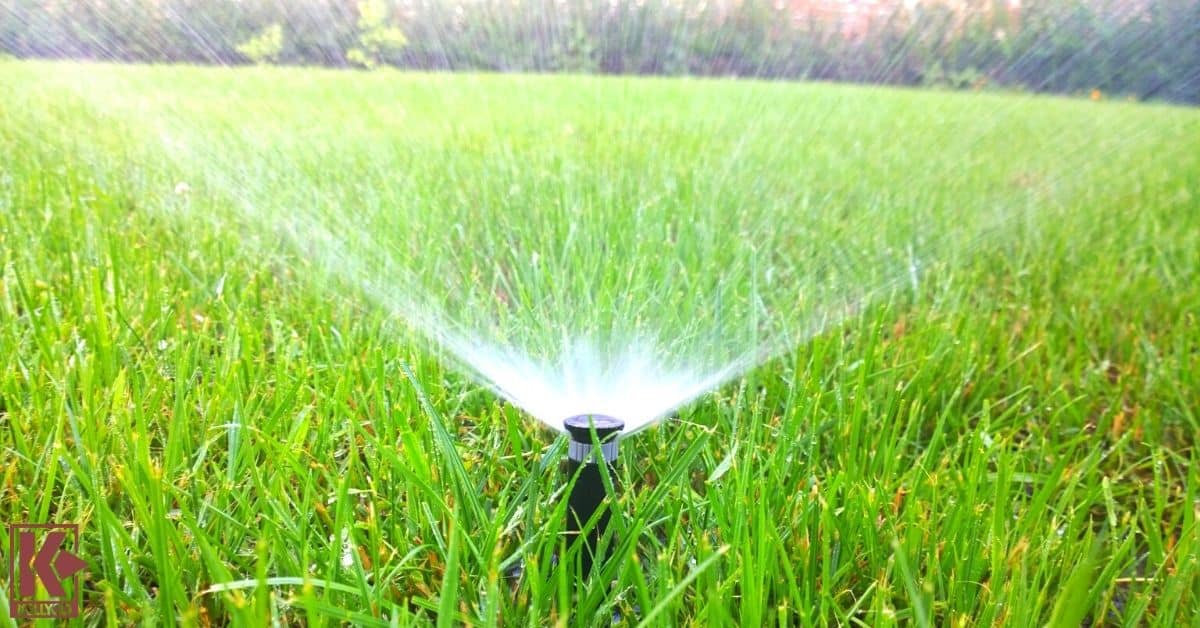 Yard Sprinklers