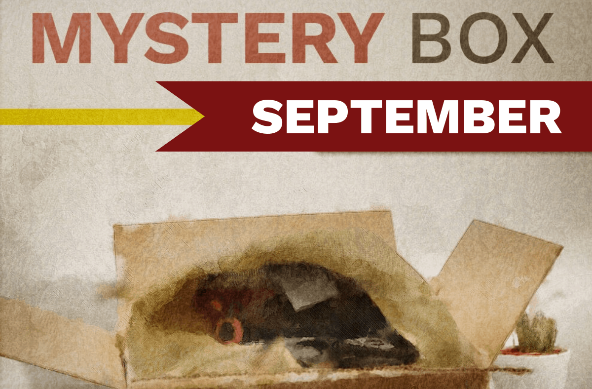 Kellyco Mystery Box promotional image for September