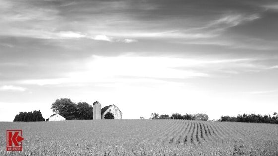 Farmer’s Fields