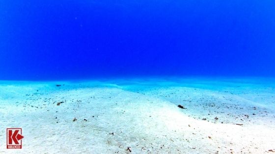 Ocean Floor