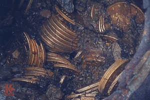 Saddle Ridge Hoard Coins