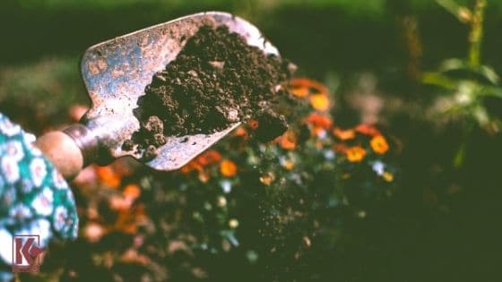 Shovel Covered In Soil